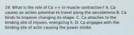 19. What is the role of Ca ++ in muscle contraction? A. Ca causes an action potential to travel along the sarcolemma B. Ca binds to troponin changing its shape. C. Ca attaches to the binding site of myosin, energizing it. D. Ca engages with the binding site of actin causing the power stroke