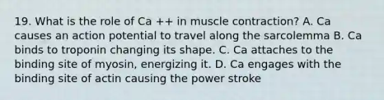 19. What is the role of Ca ++ in muscle contraction? A. Ca causes an action potential to travel along the sarcolemma B. Ca binds to troponin changing its shape. C. Ca attaches to the binding site of myosin, energizing it. D. Ca engages with the binding site of actin causing the power stroke