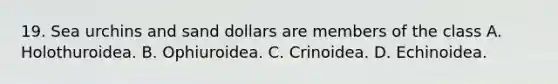 19. Sea urchins and sand dollars are members of the class A. Holothuroidea. B. Ophiuroidea. C. Crinoidea. D. Echinoidea.