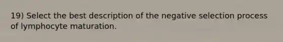 19) Select the best description of the negative selection process of lymphocyte maturation.