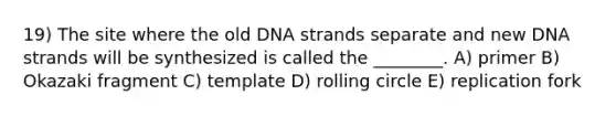 19) The site where the old DNA strands separate and new DNA strands will be synthesized is called the ________. A) primer B) Okazaki fragment C) template D) rolling circle E) replication fork