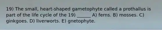 19) The small, heart-shaped gametophyte called a prothallus is part of the life cycle of the 19) ______ A) ferns. B) mosses. C) ginkgoes. D) liverworts. E) gnetophyte.