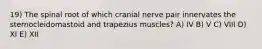 19) The spinal root of which cranial nerve pair innervates the sternocleidomastoid and trapezius muscles? A) IV B) V C) VIII D) XI E) XII