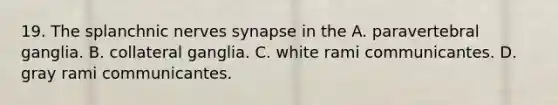 19. The splanchnic nerves synapse in the A. paravertebral ganglia. B. collateral ganglia. C. white rami communicantes. D. gray rami communicantes.