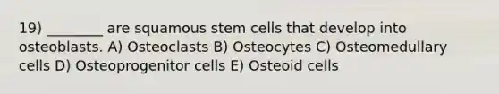 19) ________ are squamous stem cells that develop into osteoblasts. A) Osteoclasts B) Osteocytes C) Osteomedullary cells D) Osteoprogenitor cells E) Osteoid cells