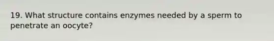 19. What structure contains enzymes needed by a sperm to penetrate an oocyte?