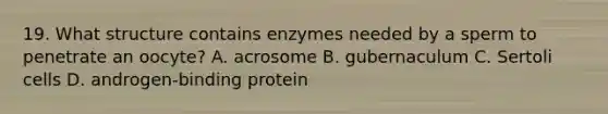 19. What structure contains enzymes needed by a sperm to penetrate an oocyte? A. acrosome B. gubernaculum C. Sertoli cells D. androgen-binding protein