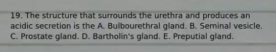 19. The structure that surrounds the urethra and produces an acidic secretion is the A. Bulbourethral gland. B. Seminal vesicle. C. Prostate gland. D. Bartholin's gland. E. Preputial gland.