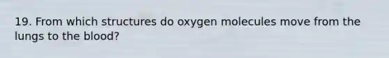 19. From which structures do oxygen molecules move from the lungs to the blood?