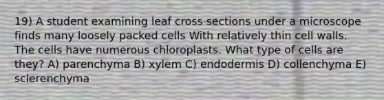 19) A student examining leaf cross sections under a microscope finds many loosely packed cells With relatively thin cell walls. The cells have numerous chloroplasts. What type of cells are they? A) parenchyma B) xylem C) endodermis D) collenchyma E) sclerenchyma