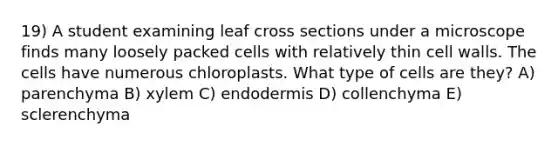 19) A student examining leaf cross sections under a microscope finds many loosely packed cells with relatively thin cell walls. The cells have numerous chloroplasts. What type of cells are they? A) parenchyma B) xylem C) endodermis D) collenchyma E) sclerenchyma