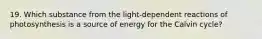 19. Which substance from the light-dependent reactions of photosynthesis is a source of energy for the Calvin cycle?