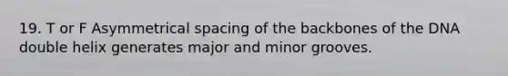 19. T or F Asymmetrical spacing of the backbones of the DNA double helix generates major and minor grooves.