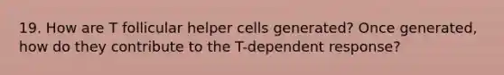 19. How are T follicular helper cells generated? Once generated, how do they contribute to the T-dependent response?