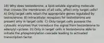 19) Why does testosterone, a lipid-soluble signaling molecule that crosses the membranes of all cells, affect only target cells? A) Only target cells retain the appropriate genes regulated by testosterone. B) Intracellular receptors for testosterone are present only in target cells. C) Only target cells possess the cytosolic enzymes that transduce the signal from testosterone to adenylyl cyclase. D) Only in target cells is testosterone able to initiate the phosphorylation cascade leading to activated transcription factor.