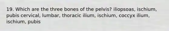 19. Which are the three bones of the pelvis? iliopsoas, ischium, pubis cervical, lumbar, thoracic ilium, ischium, coccyx ilium, ischium, pubis