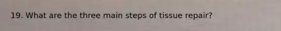 19. What are the three main steps of tissue repair?