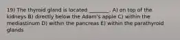 19) The thyroid gland is located ________. A) on top of the kidneys B) directly below the Adam's apple C) within the mediastinum D) within the pancreas E) within the parathyroid glands