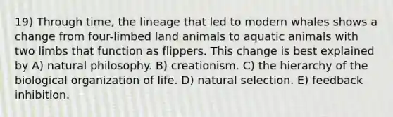 19) Through time, the lineage that led to modern whales shows a change from four-limbed land animals to aquatic animals with two limbs that function as flippers. This change is best explained by A) natural philosophy. B) creationism. C) the hierarchy of the biological organization of life. D) natural selection. E) feedback inhibition.