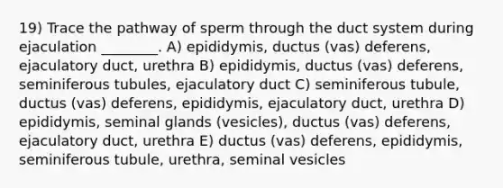 19) Trace the pathway of sperm through the duct system during ejaculation ________. A) epididymis, ductus (vas) deferens, ejaculatory duct, urethra B) epididymis, ductus (vas) deferens, seminiferous tubules, ejaculatory duct C) seminiferous tubule, ductus (vas) deferens, epididymis, ejaculatory duct, urethra D) epididymis, seminal glands (vesicles), ductus (vas) deferens, ejaculatory duct, urethra E) ductus (vas) deferens, epididymis, seminiferous tubule, urethra, seminal vesicles