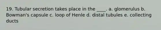 19. Tubular secretion takes place in the ____.​ a. glomerulus​ b. ​Bowman's capsule c. ​loop of Henle d. ​distal tubules e. collecting ducts​