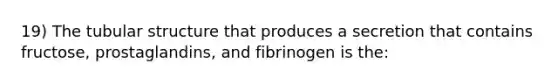 19) The tubular structure that produces a secretion that contains fructose, prostaglandins, and fibrinogen is the: