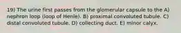 19) The urine first passes from the glomerular capsule to the A) nephron loop (loop of Henle). B) proximal convoluted tubule. C) distal convoluted tubule. D) collecting duct. E) minor calyx.