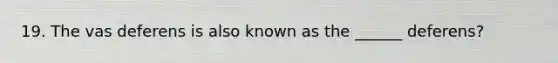 19. The vas deferens is also known as the ______ deferens?