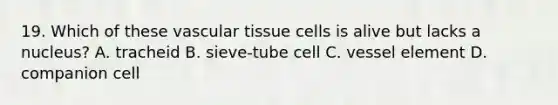 19. Which of these <a href='https://www.questionai.com/knowledge/k1HVFq17mo-vascular-tissue' class='anchor-knowledge'>vascular tissue</a> cells is alive but lacks a nucleus? A. tracheid B. sieve-tube cell C. vessel element D. companion cell