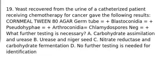 19. Yeast recovered from the urine of a catheterized patient receiving chemotherapy for cancer gave the following results: CORNMEAL TWEEN 80 AGAR Germ tube = + Blastoconidia = + Pseudohyphae = + Arthroconidia= Chlamydospores Neg = + What further testing is necessary? A. Carbohydrate assimilation and urease B. Urease and niger seed C. Nitrate reductase and carbohydrate fermentation D. No further testing is needed for identification