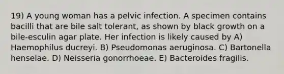 19) A young woman has a pelvic infection. A specimen contains bacilli that are bile salt tolerant, as shown by black growth on a bile-esculin agar plate. Her infection is likely caused by A) Haemophilus ducreyi. B) Pseudomonas aeruginosa. C) Bartonella henselae. D) Neisseria gonorrhoeae. E) Bacteroides fragilis.