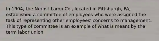 In 1904, the Nernst Lamp Co., located in Pittsburgh, PA, established a committee of employees who were assigned the task of representing other employees' concerns to management. This type of committee is an example of what is meant by the term labor union