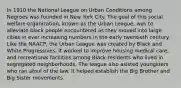 In 1910 the National League on Urban Conditions among Negroes was founded in New York City. The goal of this social welfare organization, known as the Urban League, was to alleviate black people encountered as they moved into large cities in ever increasing numbers in the early twentieth century. Like the NAACP, the Urban League was created by Black and White Progressives. It worked to improve housing medical care, and recreational facilities among Black residents who lived in segregated neighborhoods. The league also asisted youngsters who ran afoul of the law. It helped establish the Big Brother and Big Sister movements.