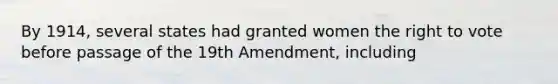 By 1914, several states had granted women the right to vote before passage of the 19th Amendment, including