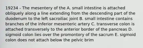 19234 - The mesentery of the A. small intestine is attached obliquely along a line extending from the descending part of the duodenum to the left sacroiliac joint B. small intestine contains branches of the inferior mesenteric artery C. transverse colon is attached transversely to the anterior border of the pancreas D. sigmoid colon lies over the promontory of the sacrum E. sigmoid colon does not attach below the pelvic brim