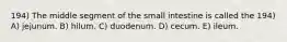 194) The middle segment of the small intestine is called the 194) A) jejunum. B) hilum. C) duodenum. D) cecum. E) ileum.