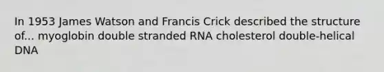 In 1953 James Watson and Francis Crick described the structure of... myoglobin double stranded RNA cholesterol double-helical DNA