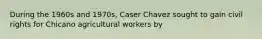 During the 1960s and 1970s, Caser Chavez sought to gain civil rights for Chicano agricultural workers by