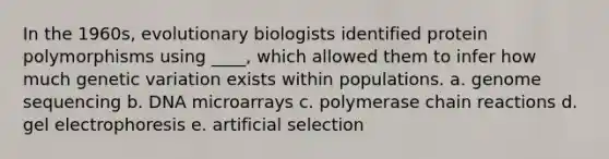 In the 1960s, evolutionary biologists identified protein polymorphisms using ____, which allowed them to infer how much genetic variation exists within populations. a. genome sequencing b. DNA microarrays c. polymerase chain reactions d. gel electrophoresis e. artificial selection