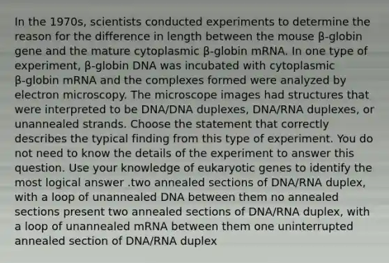 In the 1970s, scientists conducted experiments to determine the reason for the difference in length between the mouse β‑globin gene and the mature cytoplasmic β‑globin mRNA. In one type of experiment, β‑globin DNA was incubated with cytoplasmic β‑globin mRNA and the complexes formed were analyzed by electron microscopy. The microscope images had structures that were interpreted to be DNA/DNA duplexes, DNA/RNA duplexes, or unannealed strands. Choose the statement that correctly describes the typical finding from this type of experiment. You do not need to know the details of the experiment to answer this question. Use your knowledge of eukaryotic genes to identify the most logical answer .two annealed sections of DNA/RNA duplex, with a loop of unannealed DNA between them no annealed sections present two annealed sections of DNA/RNA duplex, with a loop of unannealed mRNA between them one uninterrupted annealed section of DNA/RNA duplex