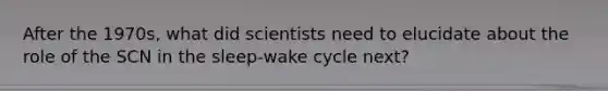 After the 1970s, what did scientists need to elucidate about the role of the SCN in the sleep-wake cycle next?