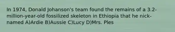 In 1974, Donald Johanson's team found the remains of a 3.2-million-year-old fossilized skeleton in Ethiopia that he nick-named A)Ardie B)Aussie C)Lucy D)Mrs. Ples