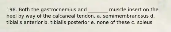 198. Both the gastrocnemius and ________ muscle insert on the heel by way of the calcaneal tendon. a. semimembranosus d. tibialis anterior b. tibialis posterior e. none of these c. soleus