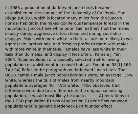 In 1983 a population of dark-eyed junco birds became established on the campus of the University of California, San Diego (UCSD), which is located many miles from the junco's normal habitat in the mixed-coniferous temperate forests in the mountains. Juncos have white outer tail feathers that the males display during aggressive interactions and during courtship displays. Males with more white in their tail are more likely to win aggressive interactions, and females prefer to mate with males with more white in their tails. Females have less white in their tails than do males, and display it less often. (Pamela J. Yeh. 2004. Rapid evolution of a sexually selected trait following population establishment in a novel habitat. Evolution 58[1]:166-74.) 24) Refer to the paragraph on dark-eyed junco birds. The UCSD campus male junco population tails were, on average, 36% white, whereas the tails of males from nearby mountain populations averaged 40—45% white. If this observed trait difference were due to a difference in the original colonizing population, it would most likely be due to _____. A) mutations in the UCSD population B) sexual selection C) gene flow between populations D) a genetic bottleneck E) a founder effect