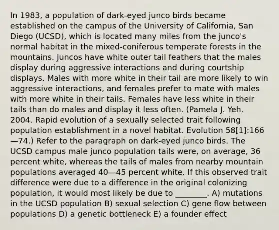 In 1983, a population of dark-eyed junco birds became established on the campus of the University of California, San Diego (UCSD), which is located many miles from the junco's normal habitat in the mixed-coniferous temperate forests in the mountains. Juncos have white outer tail feathers that the males display during aggressive interactions and during courtship displays. Males with more white in their tail are more likely to win aggressive interactions, and females prefer to mate with males with more white in their tails. Females have less white in their tails than do males and display it less often. (Pamela J. Yeh. 2004. Rapid evolution of a sexually selected trait following population establishment in a novel habitat. Evolution 58[1]:166—74.) Refer to the paragraph on dark-eyed junco birds. The UCSD campus male junco population tails were, on average, 36 percent white, whereas the tails of males from nearby mountain populations averaged 40—45 percent white. If this observed trait difference were due to a difference in the original colonizing population, it would most likely be due to ________. A) mutations in the UCSD population B) sexual selection C) gene flow between populations D) a genetic bottleneck E) a founder effect