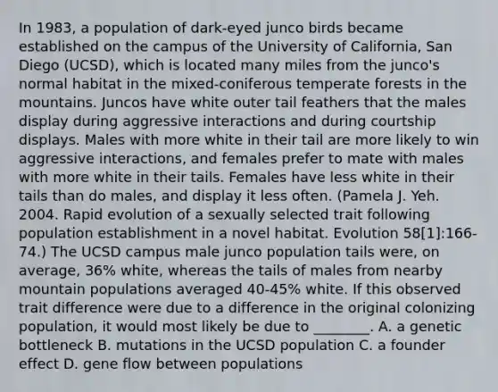 In 1983, a population of dark-eyed junco birds became established on the campus of the University of California, San Diego (UCSD), which is located many miles from the junco's normal habitat in the mixed-coniferous temperate forests in the mountains. Juncos have white outer tail feathers that the males display during aggressive interactions and during courtship displays. Males with more white in their tail are more likely to win aggressive interactions, and females prefer to mate with males with more white in their tails. Females have less white in their tails than do males, and display it less often. (Pamela J. Yeh. 2004. Rapid evolution of a sexually selected trait following population establishment in a novel habitat. Evolution 58[1]:166-74.) The UCSD campus male junco population tails were, on average, 36% white, whereas the tails of males from nearby mountain populations averaged 40-45% white. If this observed trait difference were due to a difference in the original colonizing population, it would most likely be due to ________. A. a genetic bottleneck B. mutations in the UCSD population C. a founder effect D. gene flow between populations