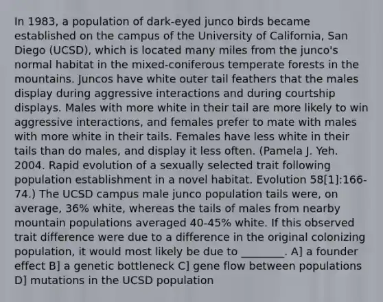 In 1983, a population of dark-eyed junco birds became established on the campus of the University of California, San Diego (UCSD), which is located many miles from the junco's normal habitat in the mixed-coniferous temperate forests in the mountains. Juncos have white outer tail feathers that the males display during aggressive interactions and during courtship displays. Males with more white in their tail are more likely to win aggressive interactions, and females prefer to mate with males with more white in their tails. Females have less white in their tails than do males, and display it less often. (Pamela J. Yeh. 2004. Rapid evolution of a sexually selected trait following population establishment in a novel habitat. Evolution 58[1]:166-74.) The UCSD campus male junco population tails were, on average, 36% white, whereas the tails of males from nearby mountain populations averaged 40-45% white. If this observed trait difference were due to a difference in the original colonizing population, it would most likely be due to ________. A] a founder effect B] a genetic bottleneck C] gene flow between populations D] mutations in the UCSD population