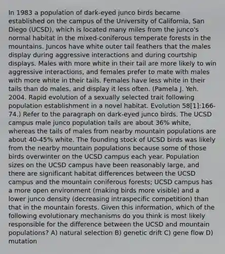 In 1983 a population of dark-eyed junco birds became established on the campus of the University of California, San Diego (UCSD), which is located many miles from the junco's normal habitat in the mixed-coniferous temperate forests in the mountains. Juncos have white outer tail feathers that the males display during aggressive interactions and during courtship displays. Males with more white in their tail are more likely to win aggressive interactions, and females prefer to mate with males with more white in their tails. Females have less white in their tails than do males, and display it less often. (Pamela J. Yeh. 2004. Rapid evolution of a sexually selected trait following population establishment in a novel habitat. Evolution 58[1]:166-74.) Refer to the paragraph on dark-eyed junco birds. The UCSD campus male junco population tails are about 36% white, whereas the tails of males from nearby mountain populations are about 40-45% white. The founding stock of UCSD birds was likely from the nearby mountain populations because some of those birds overwinter on the UCSD campus each year. Population sizes on the UCSD campus have been reasonably large, and there are significant habitat differences between the UCSD campus and the mountain coniferous forests; UCSD campus has a more open environment (making birds more visible) and a lower junco density (decreasing intraspecific competition) than that in the mountain forests. Given this information, which of the following evolutionary mechanisms do you think is most likely responsible for the difference between the UCSD and mountain populations? A) natural selection B) genetic drift C) gene flow D) mutation