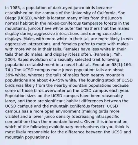 In 1983, a population of dark-eyed junco birds became established on the campus of the University of California, San Diego (UCSD), which is located many miles from the junco's normal habitat in the mixed-coniferous temperate forests in the mountains. Juncos have white outer tail feathers that the males display during aggressive interactions and during courtship displays. Males with more white in their tail are more likely to win aggressive interactions, and females prefer to mate with males with more white in their tails. Females have less white in their tails than do males, and display it less often. (Pamela J. Yeh. 2004. Rapid evolution of a sexually selected trait following population establishment in a novel habitat. Evolution 58[1]:166-74.) The UCSD campus male junco population tails are about 36% white, whereas the tails of males from nearby mountain populations are about 40-45% white. The founding stock of UCSD birds was likely from the nearby mountain populations because some of those birds overwinter on the UCSD campus each year. Population sizes on the UCSD campus have been reasonably large, and there are significant habitat differences between the UCSD campus and the mountain coniferous forests; UCSD campus has a more open environment (making birds more visible) and a lower junco density (decreasing intraspecific competition) than the mountain forests. Given this information, which of the following evolutionary mechanisms do you think is most likely responsible for the difference between the UCSD and mountain populations?