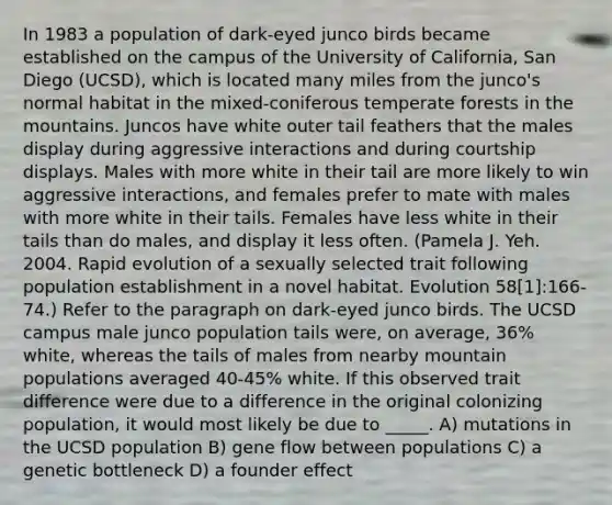 In 1983 a population of dark-eyed junco birds became established on the campus of the University of California, San Diego (UCSD), which is located many miles from the junco's normal habitat in the mixed-coniferous temperate forests in the mountains. Juncos have white outer tail feathers that the males display during aggressive interactions and during courtship displays. Males with more white in their tail are more likely to win aggressive interactions, and females prefer to mate with males with more white in their tails. Females have less white in their tails than do males, and display it less often. (Pamela J. Yeh. 2004. Rapid evolution of a sexually selected trait following population establishment in a novel habitat. Evolution 58[1]:166-74.) Refer to the paragraph on dark-eyed junco birds. The UCSD campus male junco population tails were, on average, 36% white, whereas the tails of males from nearby mountain populations averaged 40-45% white. If this observed trait difference were due to a difference in the original colonizing population, it would most likely be due to _____. A) mutations in the UCSD population B) gene flow between populations C) a genetic bottleneck D) a founder effect